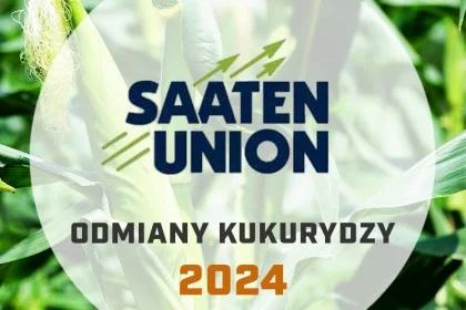 Odmiany kukurydzy Saaten-Union - katalog 2024