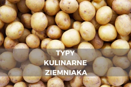 Typy kulinarne ziemniaka